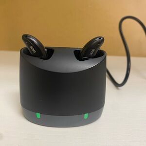 Connexx B-P Charger only.